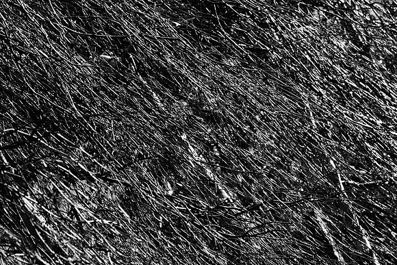 What Lies Beneath_9148