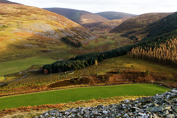Macbeth Castle towards Glenrath-0384