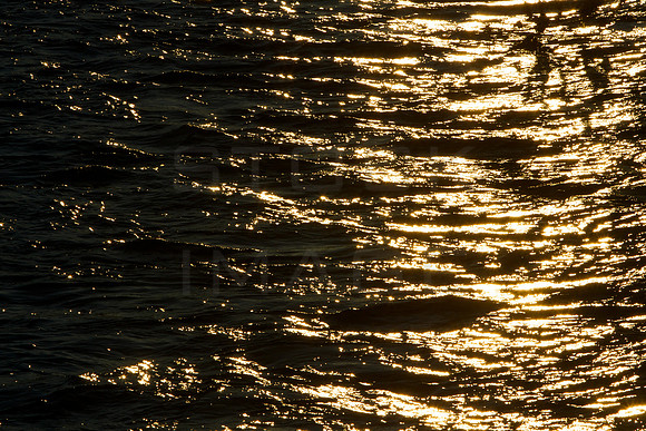 Liquid Gold