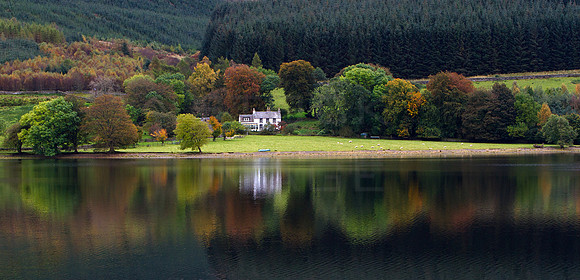 Whitson Sike at St Mary's Loch_0700_7D
