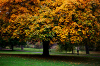 A Walk in the Park_0882_7D