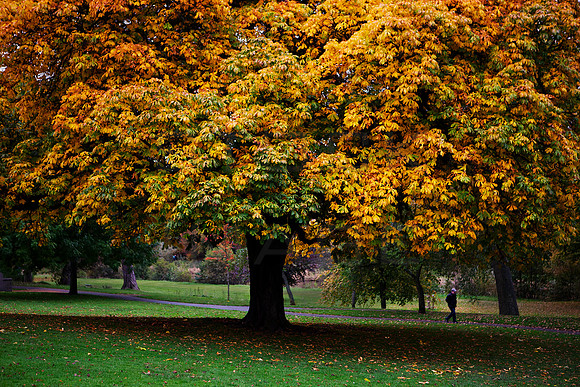A Walk in the Park_0882_7D