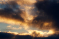 A Dark Omen_8971