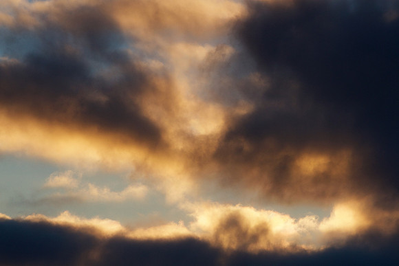 A Dark Omen_8971