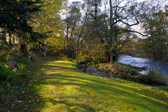 Lyne Water Walk-20191027_1079_7D