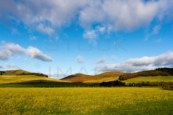 The Meldons-20191027_1089_7D