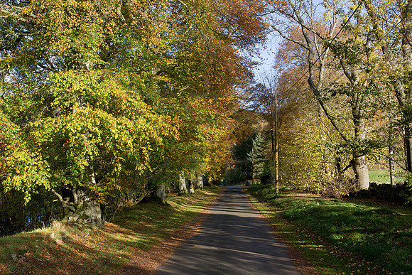 Lyne Station Road-20191027_1129_7D