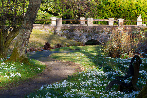 Kailzie Snowdrops-0037