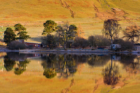 St Marys Loch-2019-01-02_4736