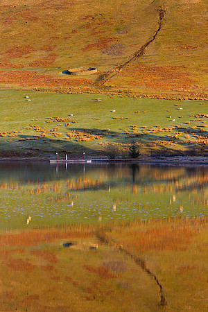 St Marys Loch-2019-01-02_4738