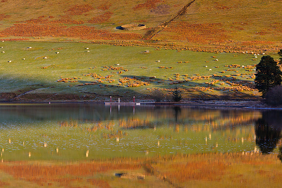 St Marys Loch-2019-01-02_4739