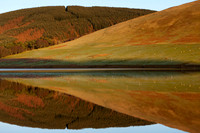 Delicately Balancing Nature_0023