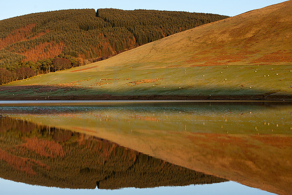 Delicately Balancing Nature_0023