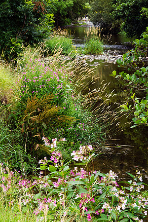 Summertime Tweed_0534