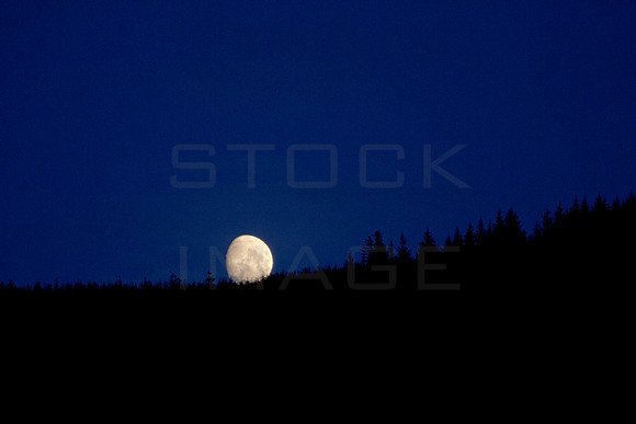 Moonrise-20191108_MG_0008_5D