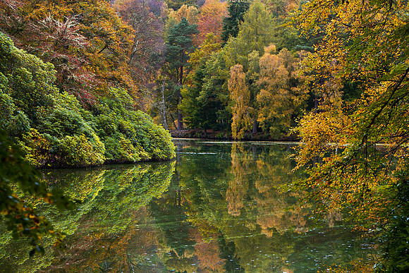 Bowhill Loch in Autumn_20191015_0724_7D
