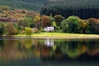 Whitson Sike at St Mary's Loch_0699_7D