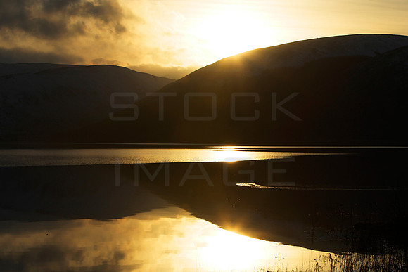On Golden Pond_2779
