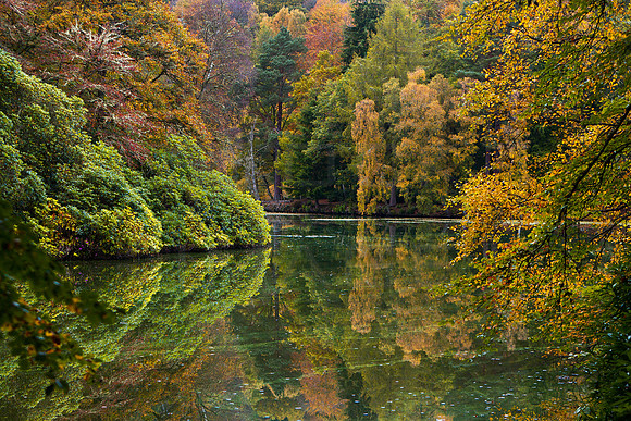 Bowhill Loch in Autumn_20191015_0724_7D