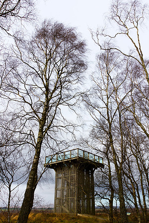 Flanders Moss Tower-0112