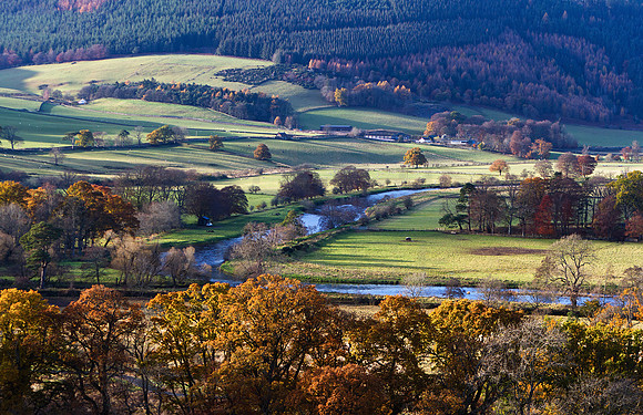 River Tweed at Traquair_20191114_0006