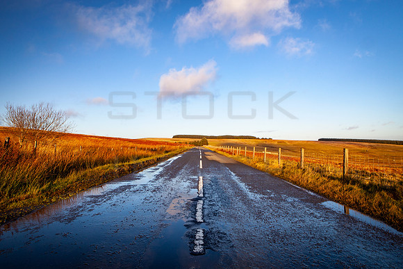 Escape Road_0062_5D