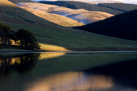 A Shaft of Light_9363