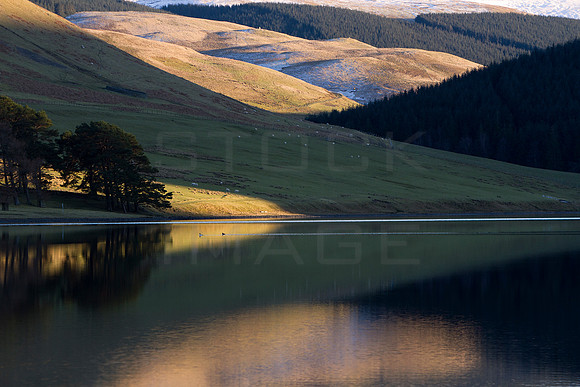 A Shaft of Light_9363