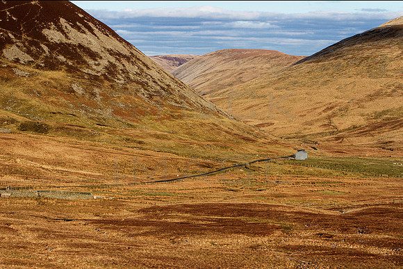 Road from Megget_9344