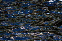 Black and Blue_1752-7D-local