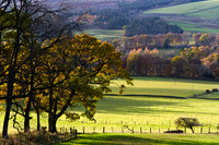 Autumnal Light at Traquair
