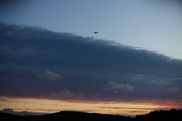 Rise Above It_6994-local