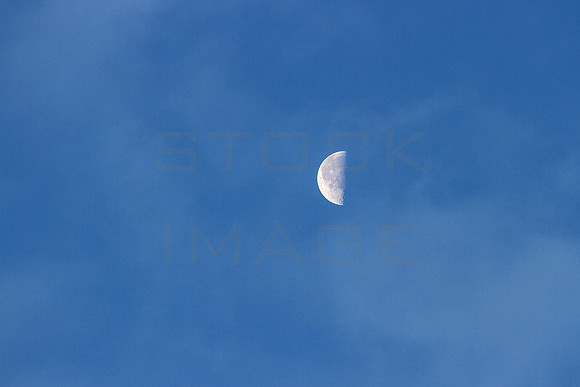 Half Moon in Blue_7567