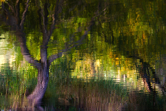 Impressions of Autumn_6846-7D