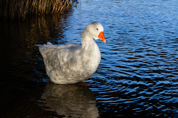 20211015_MG_6873-7D