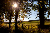 Gateway to Autumn_6812-local