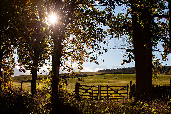 Gateway to Autumn_6812-local