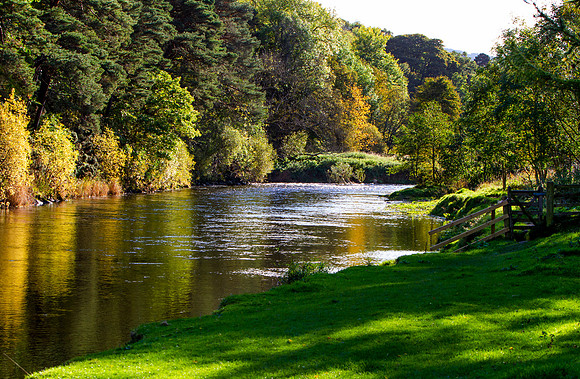 Tweed Autumn Colours by Caddon Bank_6881