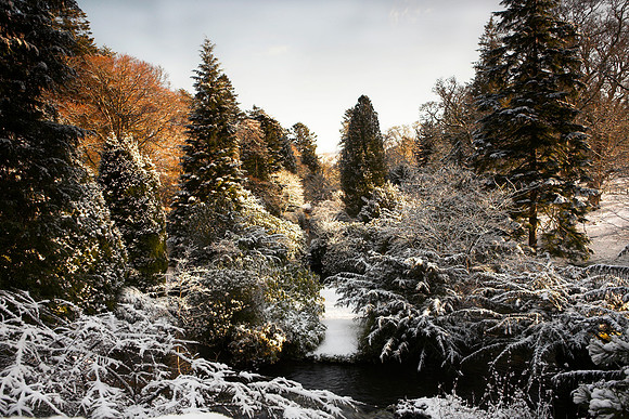 Winter in Stobo_3724