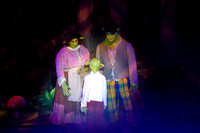 20230325_MG_3589-Shrek-7D