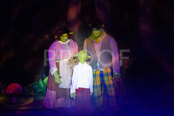 20230325_MG_3589-Shrek-7D