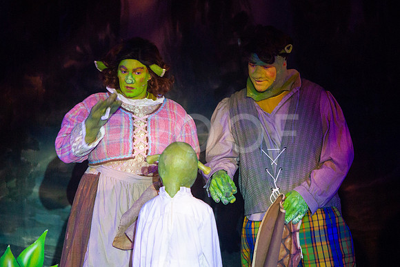 20230325_MG_3594-Shrek-7D