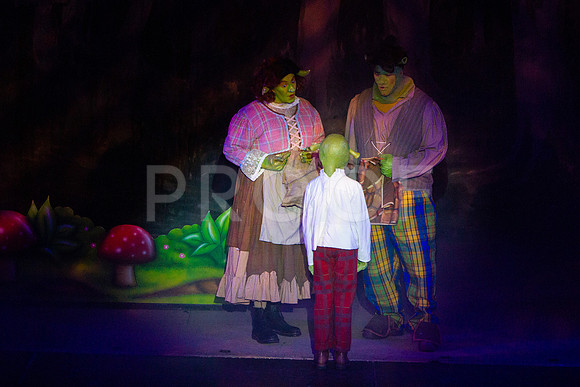 20230325_MG_3591-Shrek-7D