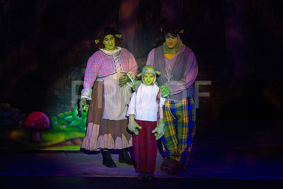 20230325_MG_3595-Shrek-7D