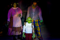 20230325_MG_3597-Shrek-7D