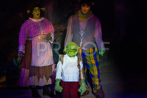 20230325_MG_3597-Shrek-7D