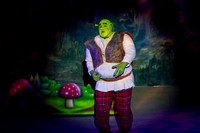 20230325_MG_3601-Shrek-7D