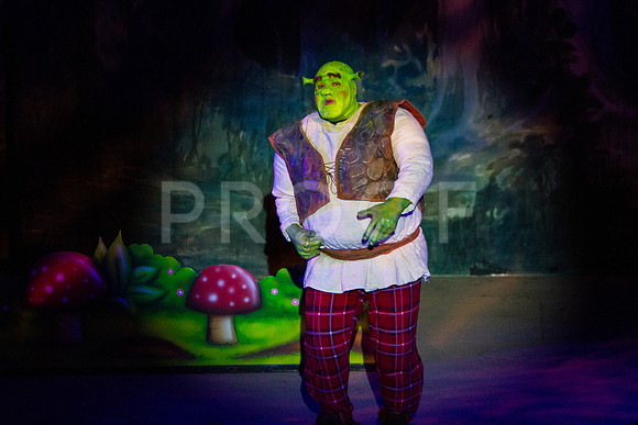 20230325_MG_3601-Shrek-7D