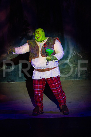 20230325_MG_3607-Shrek-7D