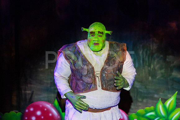 20230325_MG_3602-Shrek-7D